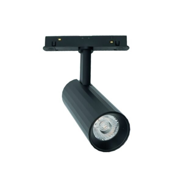 LM-DM20